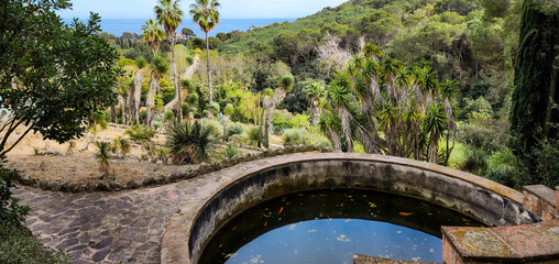 Landscape with decorative pool, palm trees,  yuccas among wooded hills. Spring time, sunny day. "Pinya de Rosa" Spain Blanes.
