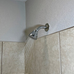 shower head in a bathroom