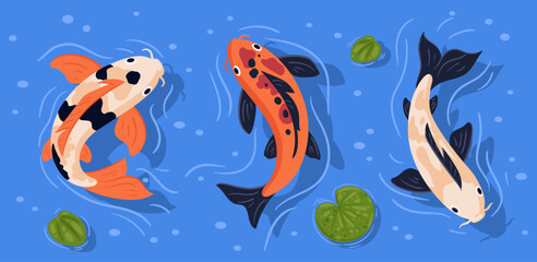 Japanese koi carp fish. Swimming in pond colorful koi carp fish, cute oriental fish koi flat vector illustration set. Asian swimming carp fish