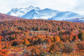 Autumn in mountains