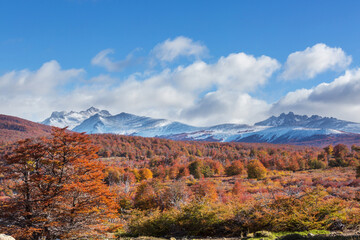 Autumn in mountains