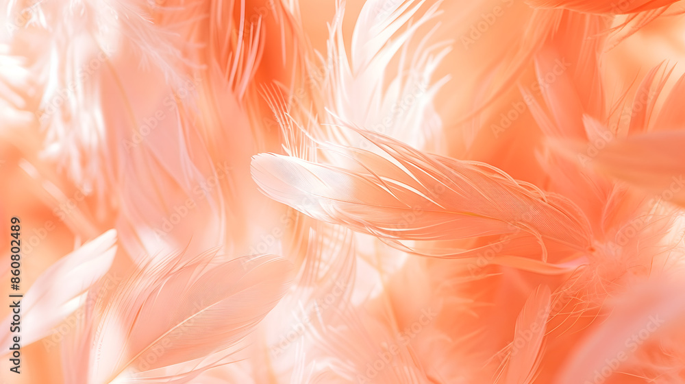 Poster Bird feathers background toned in trending color of the year 2024 peach fuzz tenderness and softness concept selective focus : Generative AI