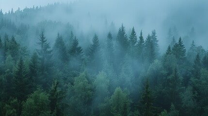 Fototapeta premium forest in the fog ai generated