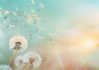 A conceptual image representing change, growth, movement, and direction, depicting dandelion seeds blowing in the wind across a summer field.