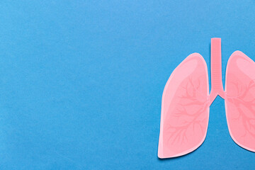 Paper lungs on blue background