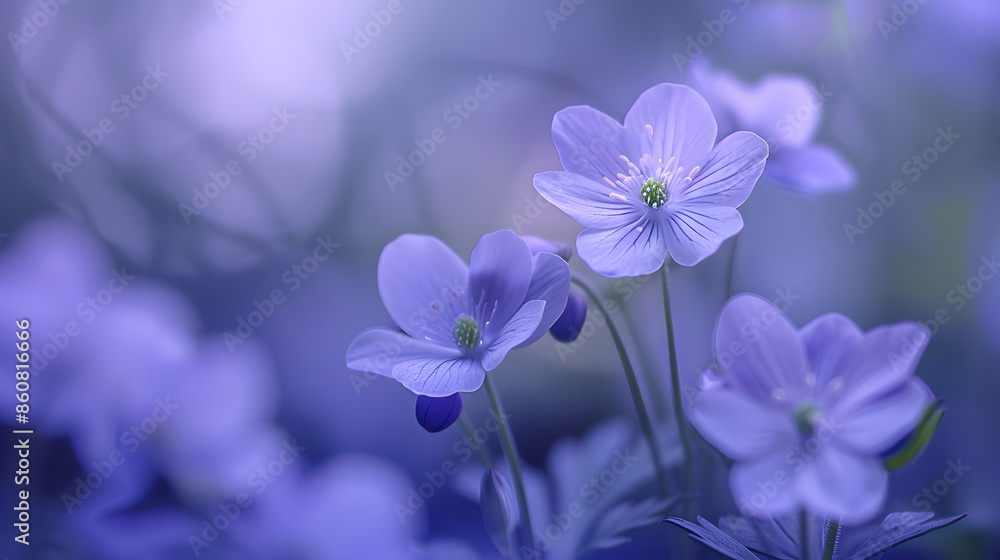 Poster background blur closeup of flowers with beautiful dark colors and soft romantic blurring : generativ