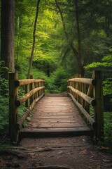 Obraz premium Wooden bridge in forest blends human craftsmanship with natural surroundings, illustrating peaceful coexistence and tranquility of nature. 🌲🌉✨