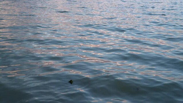 background of lake at dusk - Boyd Lake in Colorado, background plate