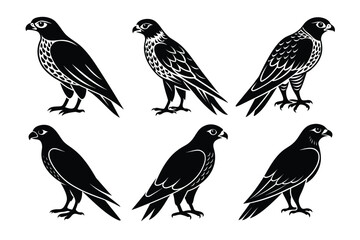 Falcon silhouette vector illustration