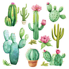 Vibrant collection of watercolor cacti and succulents with blooming flowers, ideal for botanical art, design projects, and decor, isolated on transparent background.