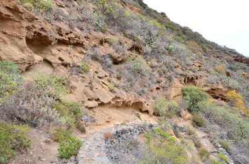 PAISAJE DE UN BARRANCO DE LA ISLA DE TENERIFE
