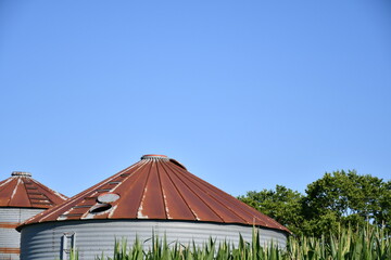 Grain Bin by a Corn Field