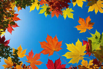 background of autumn leaves behind a clear sky