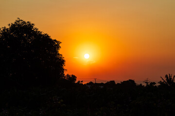 Orange Sunrise with Silhouetted Trees