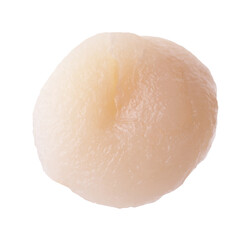 One fresh raw scallop isolated on white