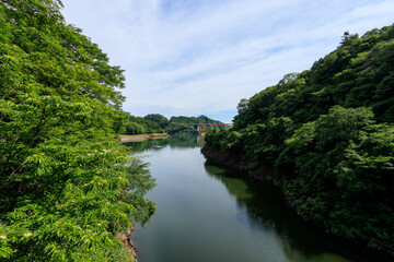 Fototapeta premium 林道から眺める美しい宮ケ瀬湖の湖面。日本国神奈川県相模原市、早戸川林道にて。 2024年6月撮影。 