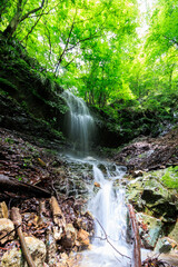 苔むした岩と新緑の崖から落ちる美しい小さな滝。

日本国神奈川県相模原市、早戸川林道にて。
2024年6月撮影。
