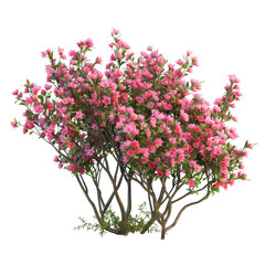 flower bush 3d