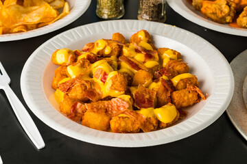Tater tots with cheese and bacon