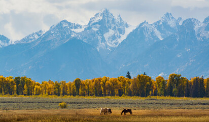 Autumn Majesty: The Teton Range in Fall Splendor © Adi