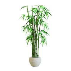 Fototapeta premium abstract 3d cartoon bamboo money tree 
