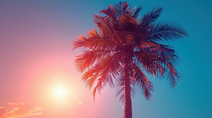 Obraz premium Sunlit Palm Tree Silhouette: White Frame Accent