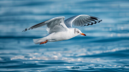 Fototapeta premium Seagull flying over blue water, AI Generative.