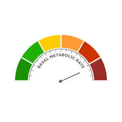 Basal metabolic rate abstract measuring device. Meter scale with arrow.