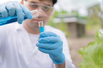 Organic farming, salad farm. Science farmers are checking water conditions during planting,...