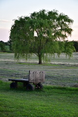 Trailer and Tree in a Farm Field