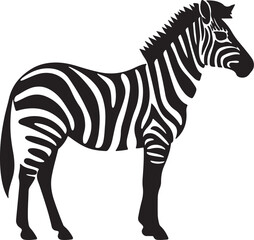 Zebra Silhouette Vector Illustration White Background