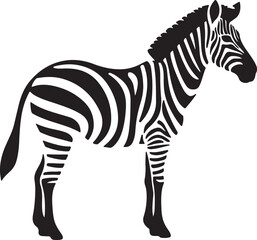 Zebra Silhouette Vector Illustration White Background