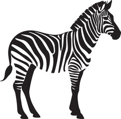Zebra Silhouette Vector Illustration White Background