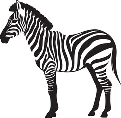 Zebra Silhouette Vector Illustration White Background