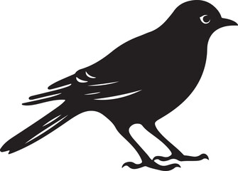 Cuckoo Silhouette Vector Illustration White Background