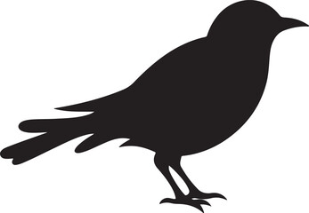 Cuckoo Silhouette Vector Illustration White Background