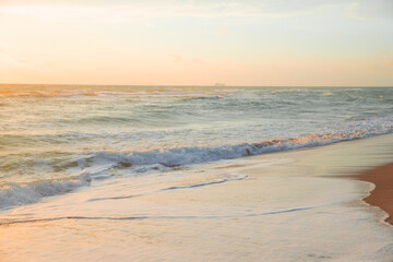 Nature of Florida. Miami background, sea vacation