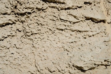 strange dessert stone wall texture