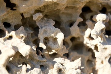 strange dessert stone wall texture