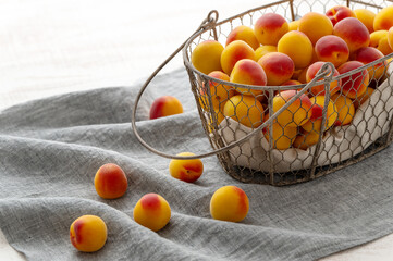 南高梅　梅仕事　梅干し