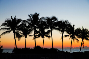 Obraz premium Miami, Florida. Tropical vacation spots