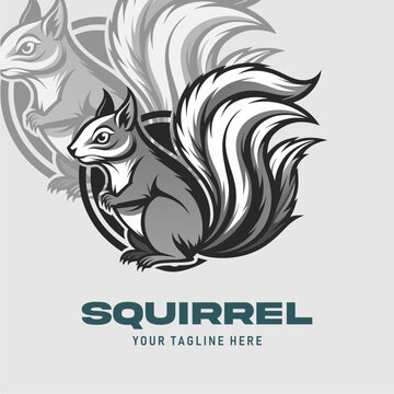 logo squirrel vector design s...