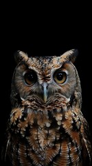 Fototapeta premium Owl award winning photography, minimalist, commercial ads photo, advertising, stunning