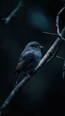 Finch bird award winning photography, minimalist, commercial ads photo, advertising, stunning