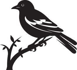 Bulbul Bird Silhouette Vector Illustration White Background