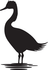 Grebes Bird Silhouette Vector Illustration White Background