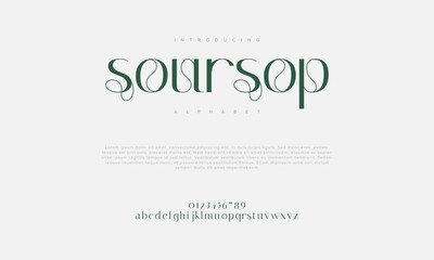 Sousop premium luxury elegant alphabet letters and numbers. Vintage wedding typography classic serif font decorative vintage retro. creative vector illustration