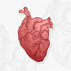 Heart hand drawn vector Illustration with Bright color . Isolated vector with vintage style