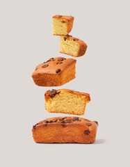 Creative layout made of sponge cake on the gray background. Food concept. Macro concept.