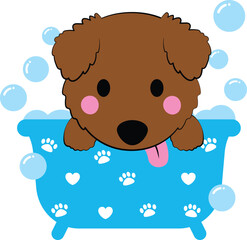Cute brown puppy dog in bathtub
